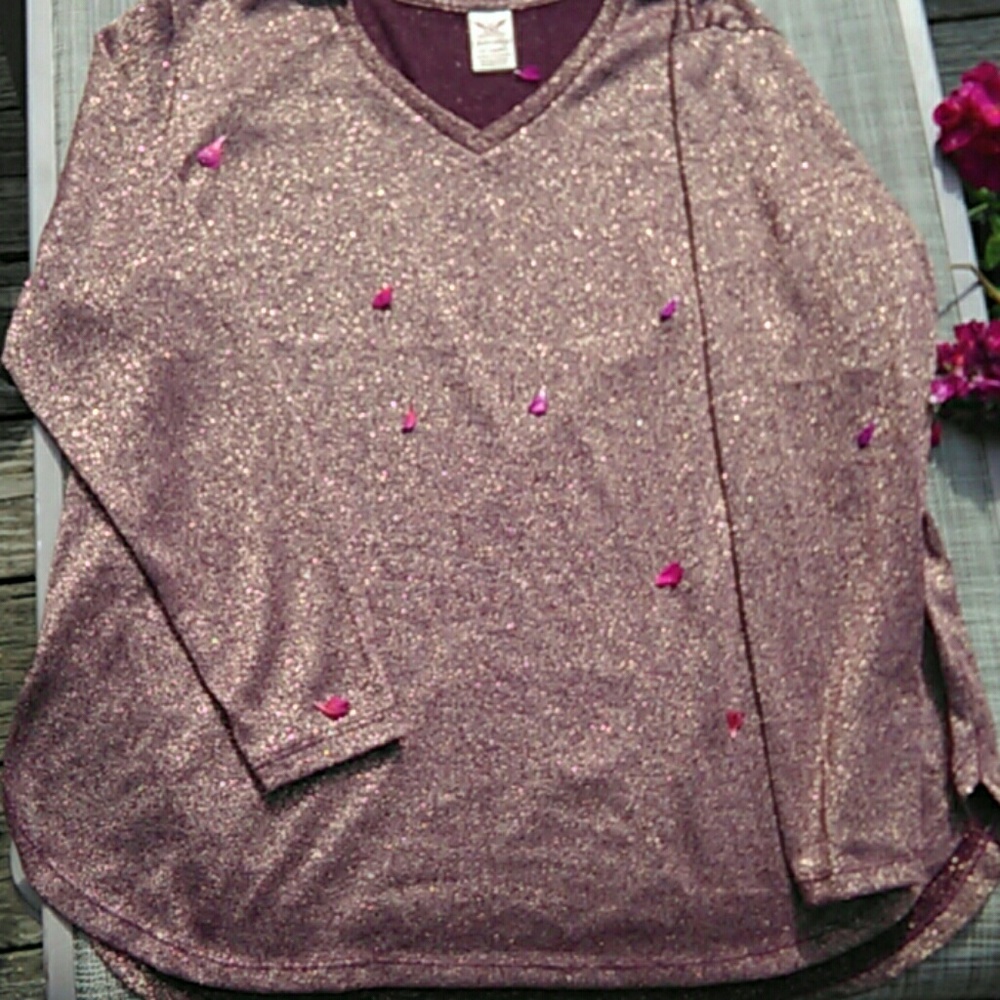 Matalic/Polyester Faded Glory blouse